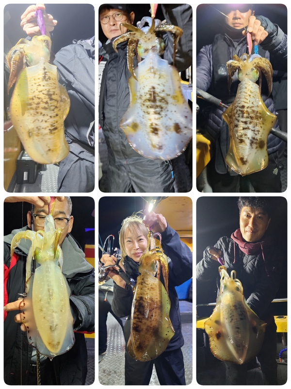 해당 선사를 대표하는 이미지