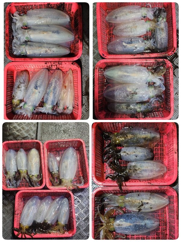 해당 선사를 대표하는 이미지