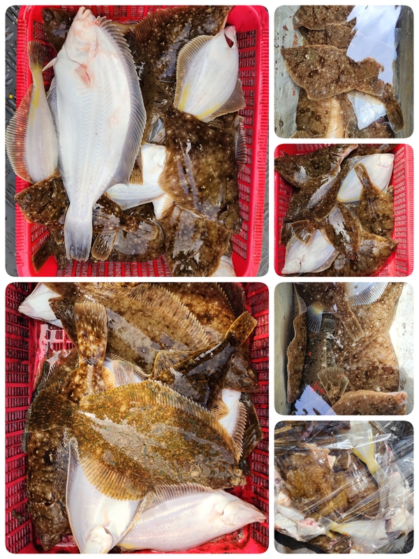 해당 선사를 대표하는 이미지