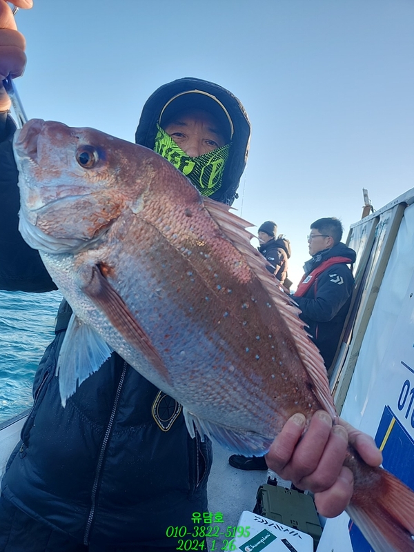 통영 유담호 의 조황일지 이미지 - 3