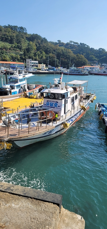 해당 선사를 대표하는 이미지