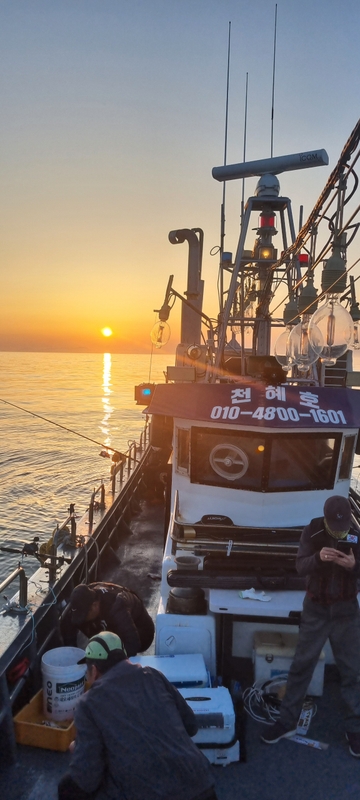 해당 선사를 대표하는 이미지