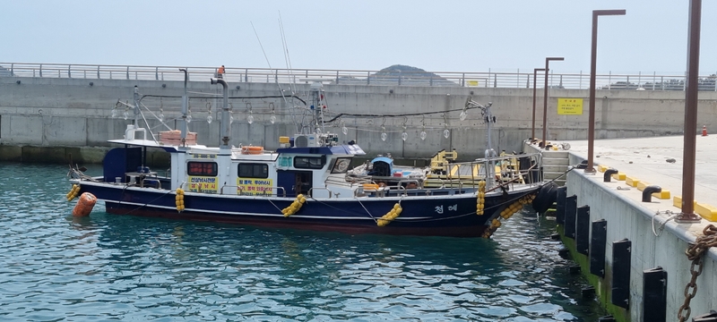 해당 선사를 대표하는 이미지