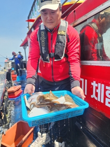 실시간24일~ 타작의 참가자미! 금:오전7시 여유석! 선상낚시로 잡은 물고기 조황