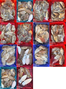 "제주 어신호" 26년 1월 25일 갑오징어 조황 선상낚시로 잡은 물고기 조황