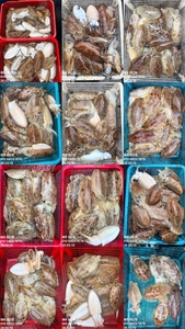 제주 어신호" 2월 10일 갑오징어 조황 선상낚시로 잡은 물고기 조황