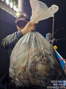 제주 어신호 6월 17일 야간 한치&오징어 조황 선상낚시로 잡은 물고기 조황