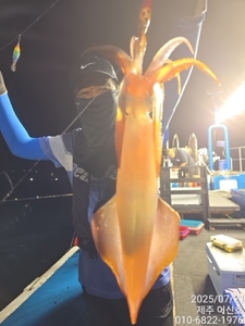 제주 어신호 7월 21일 야간 한치 조황 선상낚시로 잡은 물고기 조황