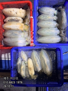 "제주 어신호" 10월 10일 무늬팁런조황 선상낚시로 잡은 물고기 조황