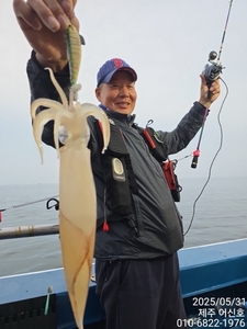 제주 어신호 5월31일 야간 한치 조황 선상낚시로 잡은 물고기 조황