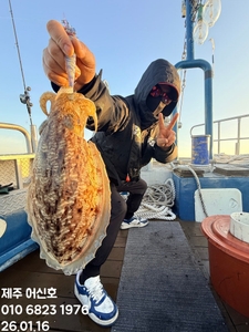 "제주 어신호" 26년 1월 16일 갑오징어 조황 선상낚시로 잡은 물고기 조황