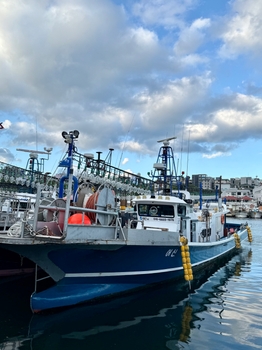 실시간 예약이 가능한 바다 위에 떠있는 제주 어신호 낚시 선박