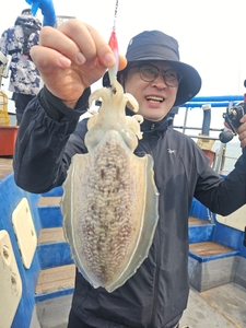 5월2일 무창포힐링호 봄 쭈꾸미조황입니다  선상낚시로 잡은 물고기 조황