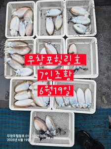 무창포힐링호 6월19일 7인 봄 왕갑오징어 조황입니다  선상낚시로 잡은 물고기 조황