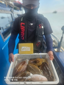 7월10일 무창포힐링호 봄 왕갑오징어 조황입니다  선상낚시로 잡은 물고기 조황