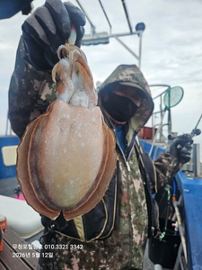 5월12일 무창포힐링호 봄왕갑이 탐사 조황입니다  선상낚시로 잡은 물고기 조황