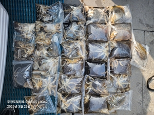 3월26일 무창포힐링호 왕 봄 알쭈꾸미 조황입니다  선상낚시로 잡은 물고기 조황