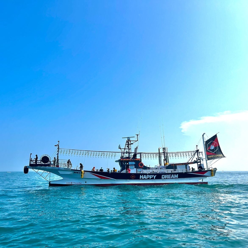 해당 선사를 대표하는 이미지