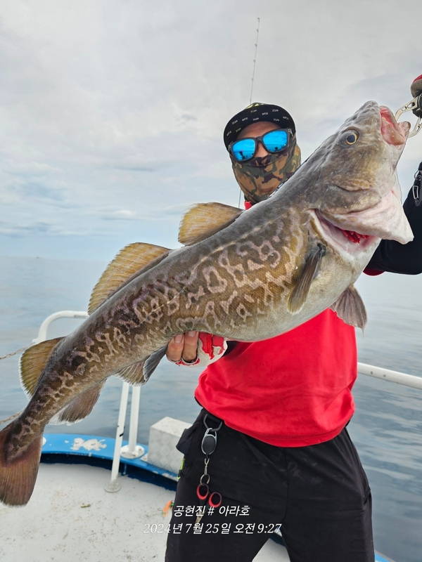 공현진아라호 의 조황일지 이미지 - 0