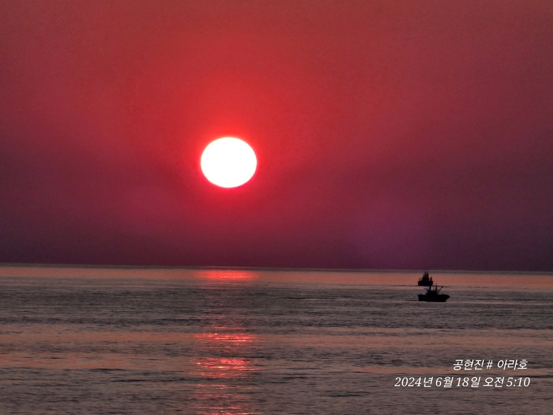 공현진아라호 의 조황일지 이미지 - 4