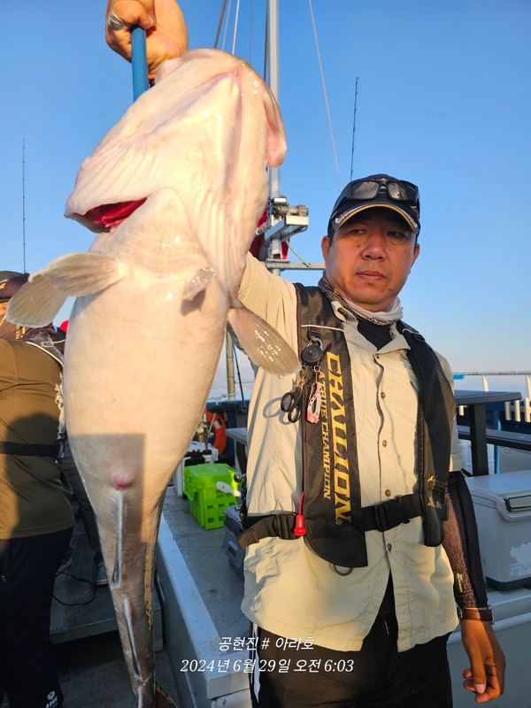 공현진아라호 의 조황일지 이미지 - 4