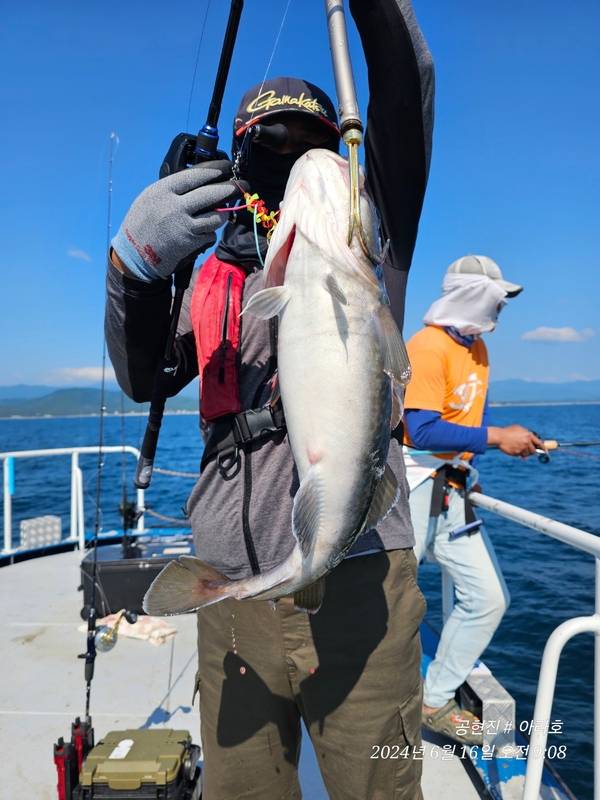 공현진아라호 의 조황일지 이미지 - 11
