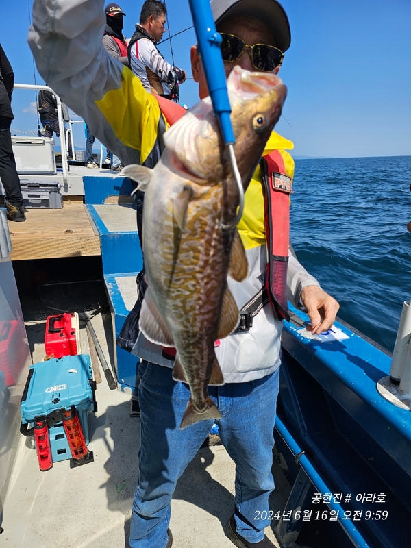 공현진아라호 의 조황일지 이미지 - 7