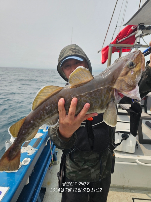 공현진아라호 의 조황일지 이미지 - 9