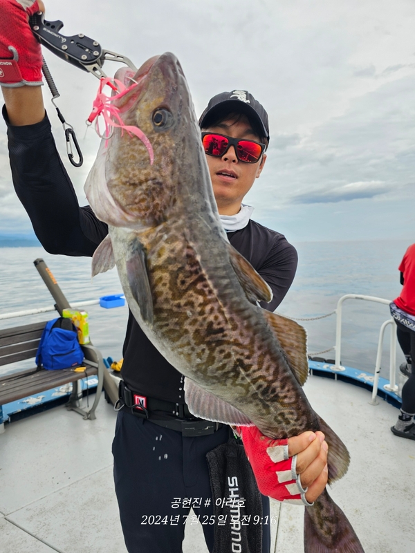 공현진아라호 의 조황일지 이미지 - 1