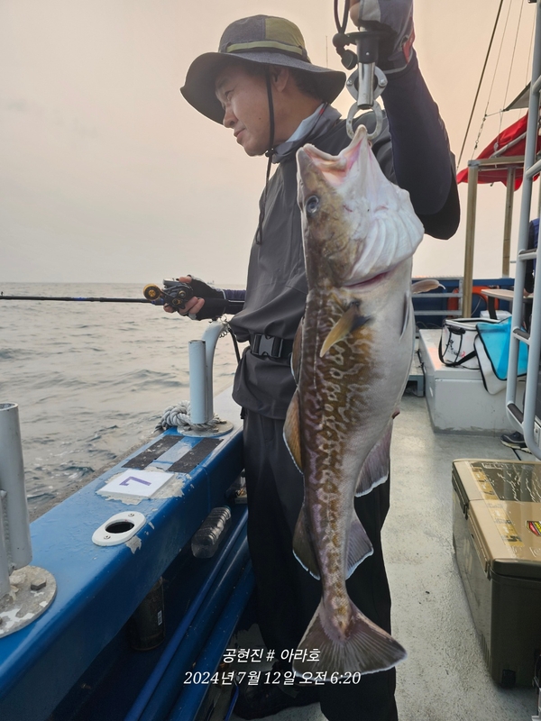 공현진아라호 의 조황일지 이미지 - 7