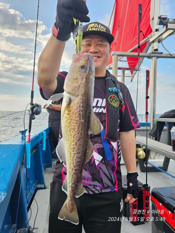 공현진아라호 의 조황일지 이미지 - 15