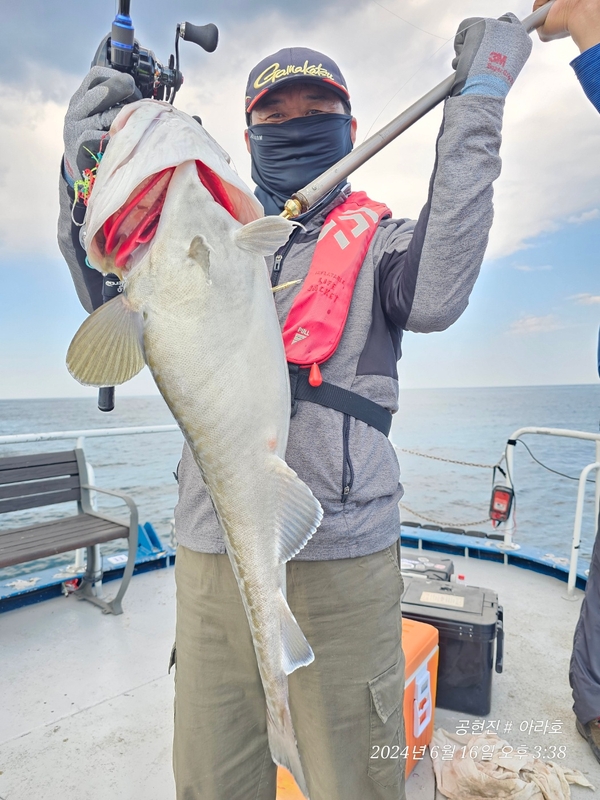 공현진아라호 의 조황일지 이미지 - 7