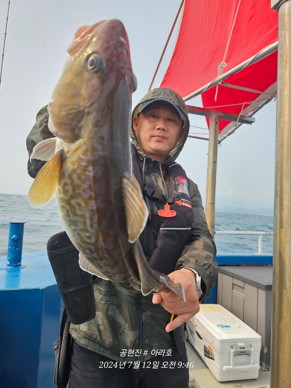 공현진아라호 의 조황일지 이미지 - 5