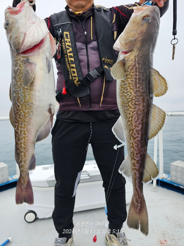 공현진아라호 의 조황일지 이미지 - 3