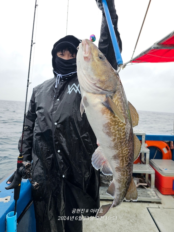 공현진아라호 의 조황일지 이미지 - 4