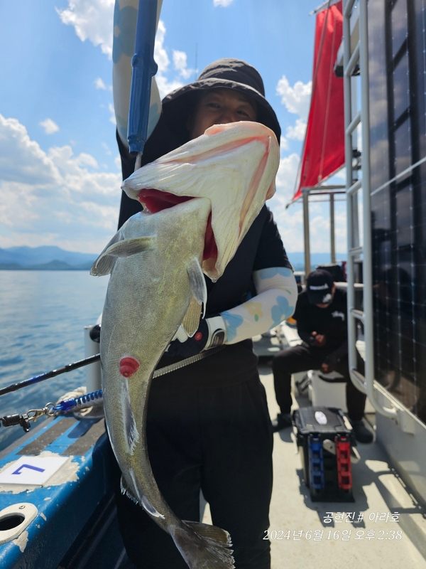 공현진아라호 의 조황일지 이미지 - 5