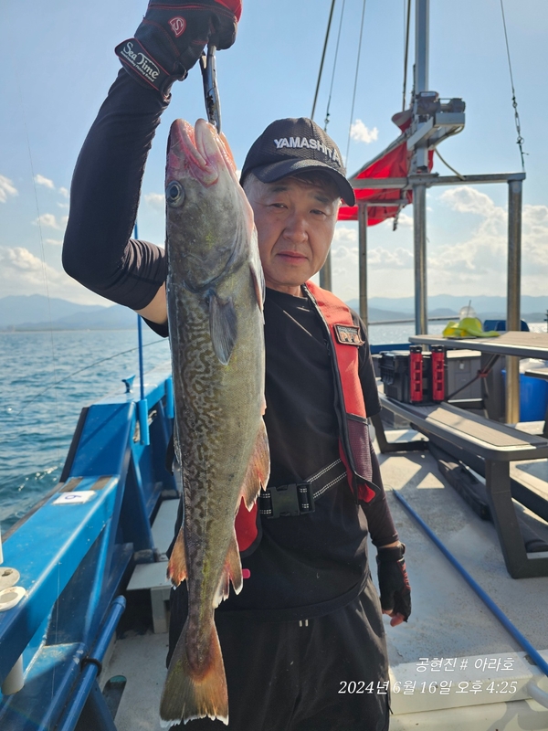 공현진아라호 의 조황일지 이미지 - 10