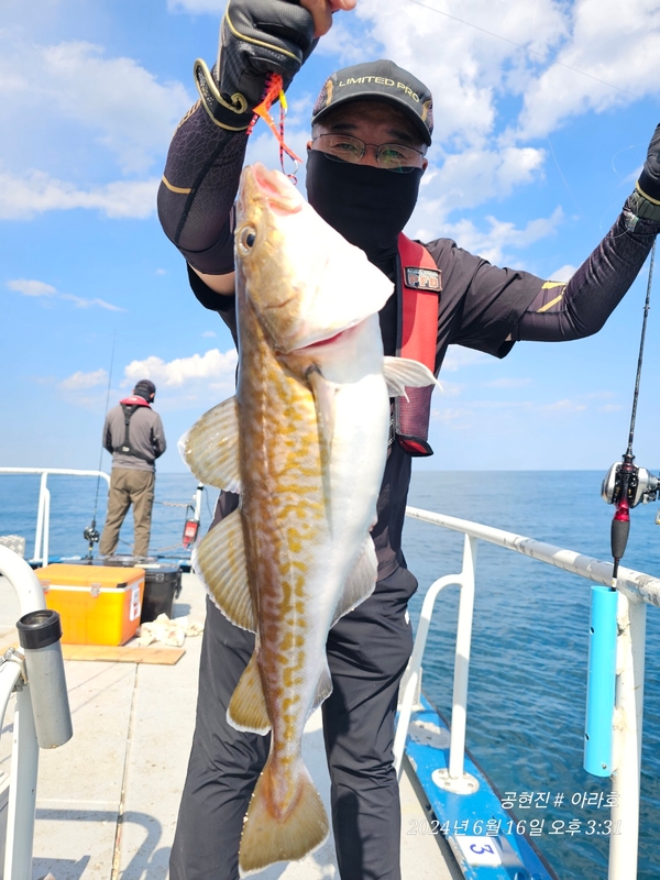 공현진아라호 의 조황일지 이미지 - 6