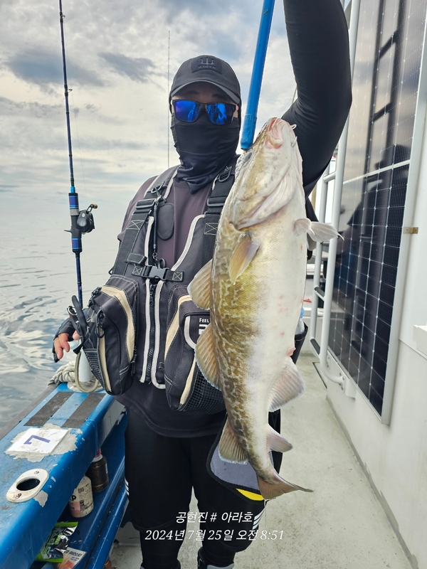 공현진아라호 의 조황일지 이미지 - 7