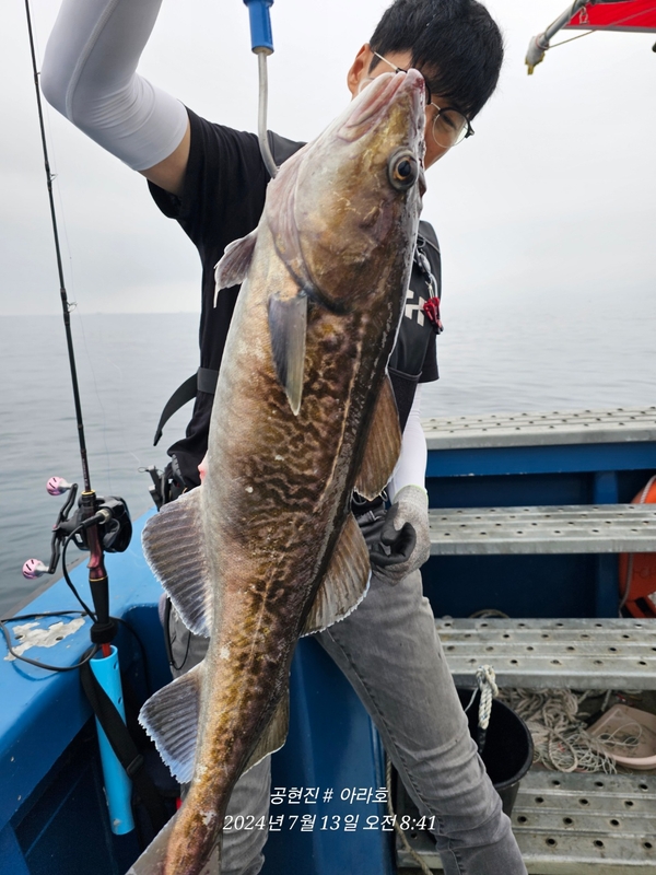 공현진아라호 의 조황일지 이미지 - 12