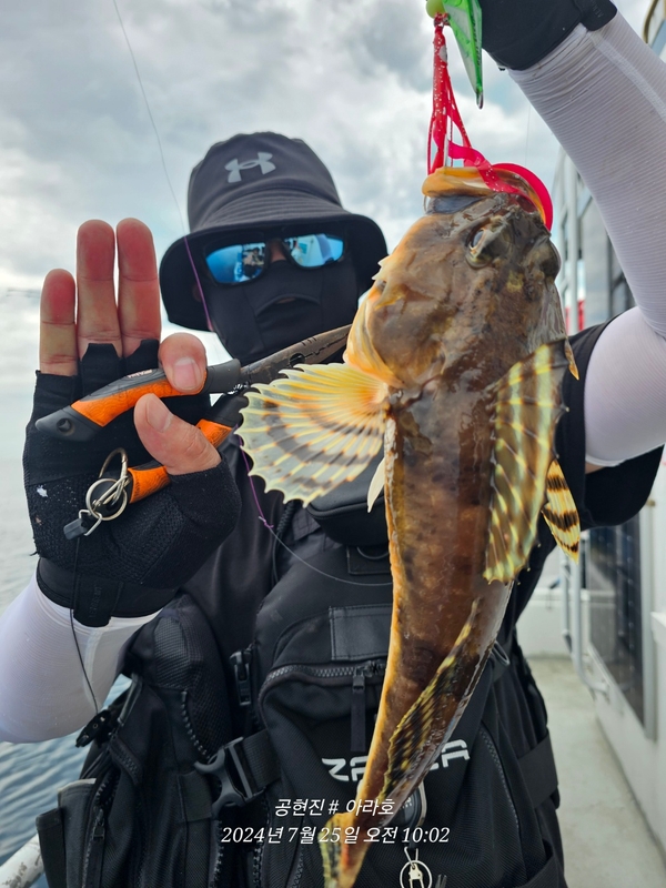 공현진아라호 의 조황일지 이미지 - 11