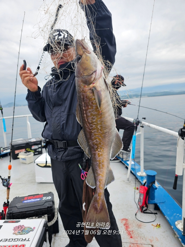 공현진아라호 의 조황일지 이미지 - 14