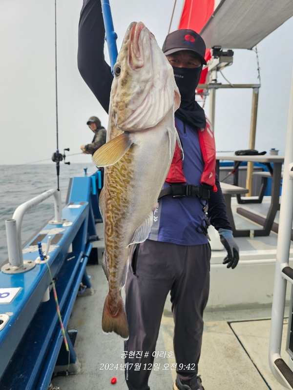 공현진아라호 의 조황일지 이미지 - 4