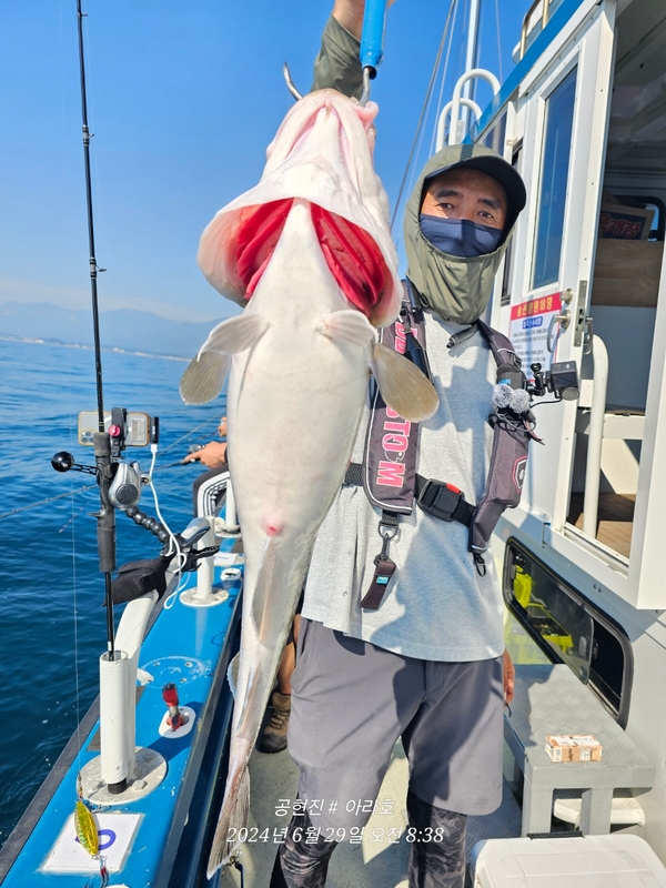 공현진아라호 의 조황일지 이미지 - 11