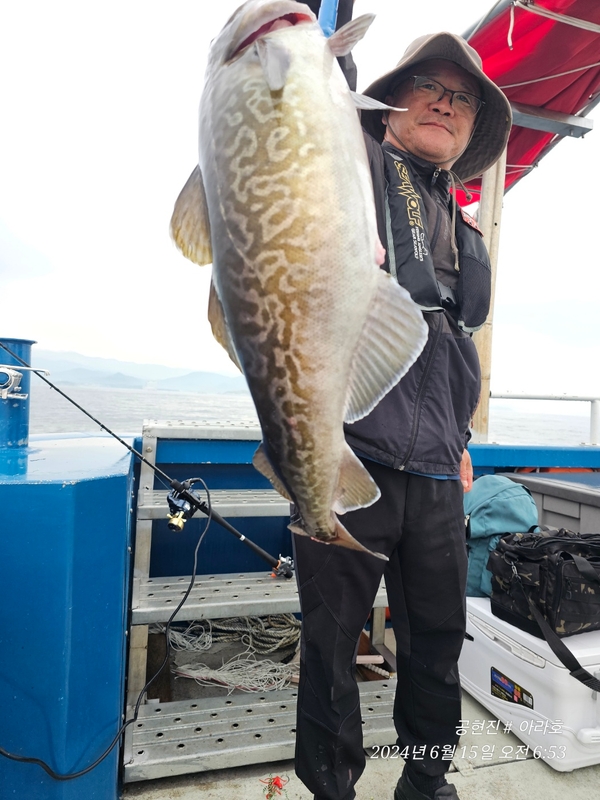 공현진아라호 의 조황일지 이미지 - 4