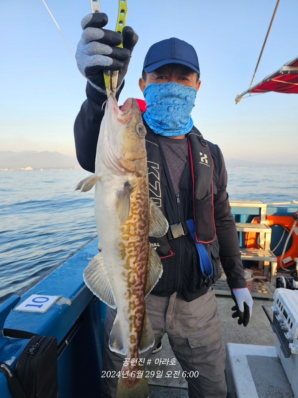 공현진아라호 의 조황일지 이미지 - 19