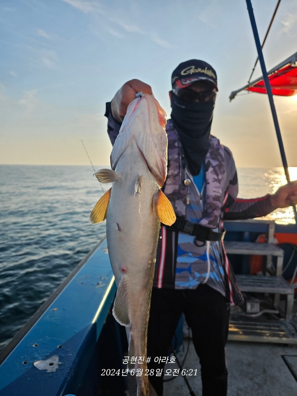 공현진아라호 의 조황일지 이미지 - 2