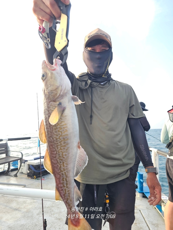 공현진아라호 의 조황일지 이미지 - 3