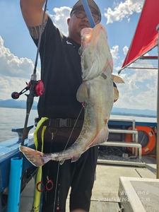 공현진 대구타이라바  선상낚시로 잡은 물고기 조황