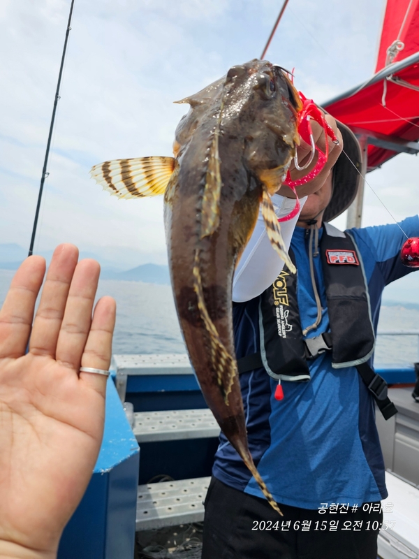 공현진아라호 의 조황일지 이미지 - 5